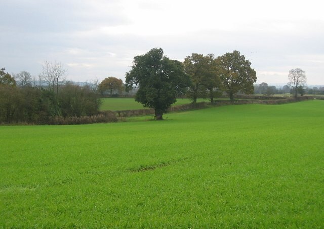 "Ashford Carbonel"-foto av Richard Webb (CC BY-SA) / Urklipp från original