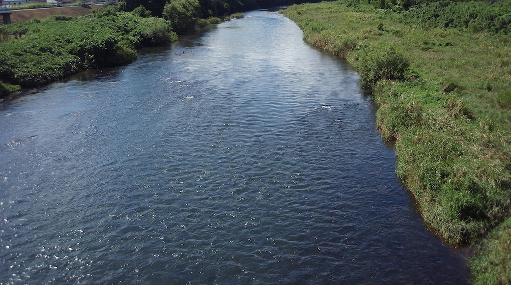 Kano river, Shizuoka prefecture, Japan. A photo was took from Matsubara bridge in Izunokuni city.