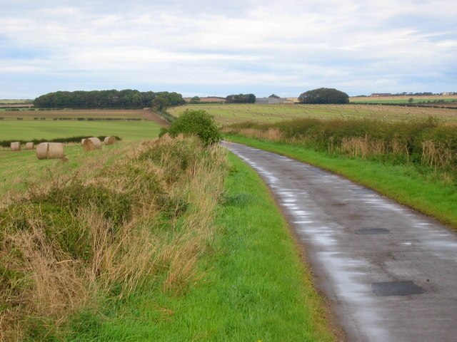 Foto “Grindale” tomada por Stephen Horncastle (CC BY-SA); recorte de la original