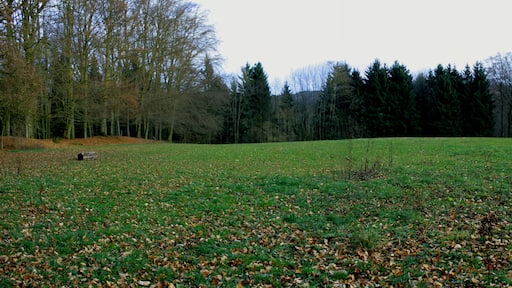 Foto „Pilsach“ von Erich Lautenschlager (CC BY-SA)/zugeschnittenes Original