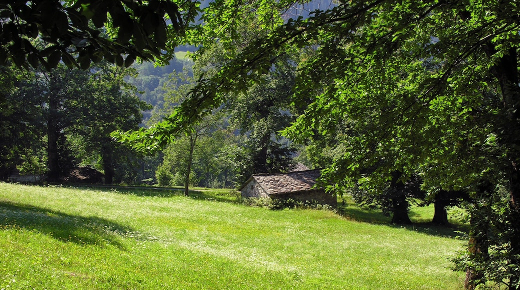 Castasegna, Bergell, Graubünden, Schweiz