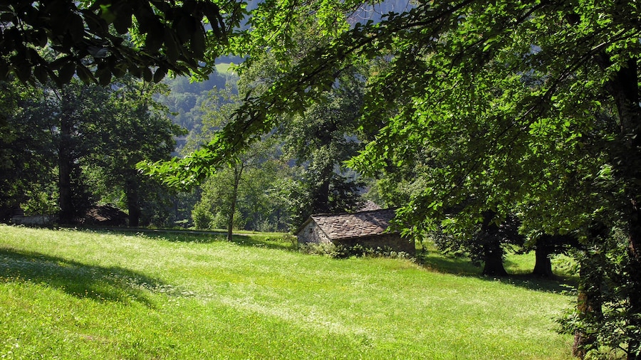 Photo "Switzerland, Graubünden, Castasegna" by Simisa (Creative Commons Attribution-Share Alike 3.0) / Cropped from original