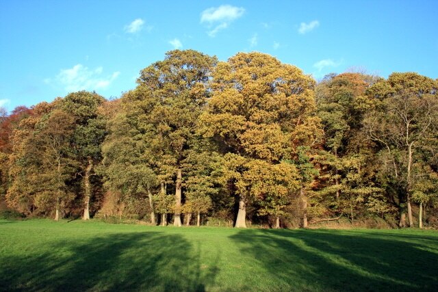 "St Cuthbert Without"-foto av David Lally (CC BY-SA) / Urklipp från original