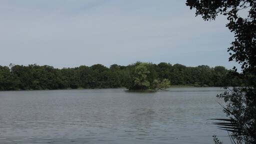 Foto „Zarrentin am Schaalsee“ von DorisAntony (CC BY-SA)/zugeschnittenes Original