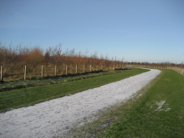 Colliery Wood Slowly becoming a woodland to improve the environment - an initiative by the local council. The path is not normally white, it has a dusting of snow