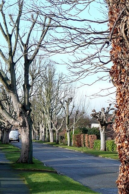 Foto „Little Chalfont“ von Graham Horn (CC BY-SA)/zugeschnittenes Original