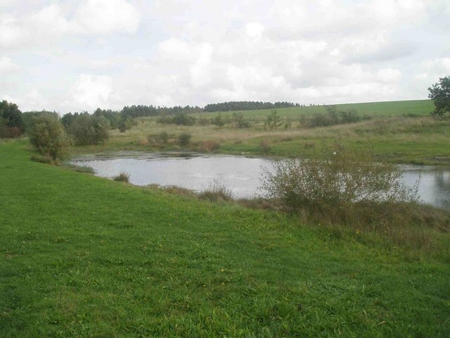 Tippings Wood pond Nature reserve on the site of Blidworth colliery