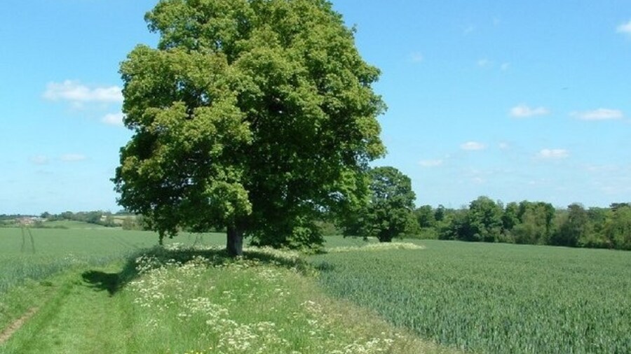 Photo "Evenley: a footpath leading to the Westbury Circular Ride" by Snidge (Creative Commons Attribution-Share Alike 2.0) / Cropped from original