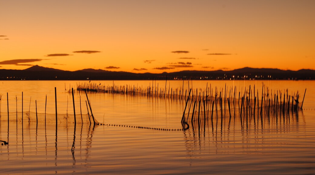 Photo "Albufera" by Marcela Escandell (page does not exist) (CC BY-SA) / Cropped from original