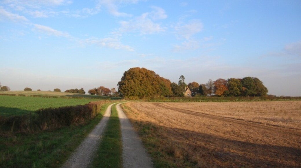 Kuva ”Warthill” käyttäjältä DS Pugh (CC BY-SA) / rajattu alkuperäisestä kuvasta