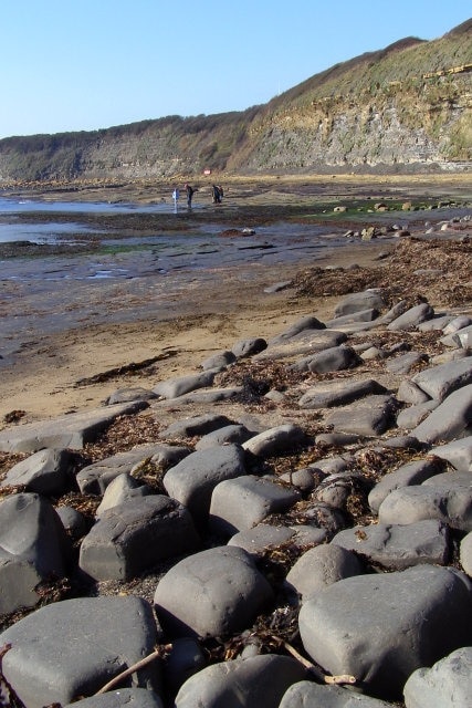 Back of Kimmeridge Bay Looking towards The Flats wave-cut platform below the oil well on top of the cliffs. The boulders in the foreground are composed of dolomite from the Washing Ledge double-band, visible as a yellow bed nearer the top of the cliffs behind The Flats. There is a fault in the cliff, to the left of centre above the red warning sign. The Flats dolomite bed is lifted up a few metres above sea level - dipping to the left with the anticline; the Washing Ledge dolomite bed is not present to the left of the fault, having been eroded away. The family on The Flats are looking at ammonite fossils in the dolomite bed.