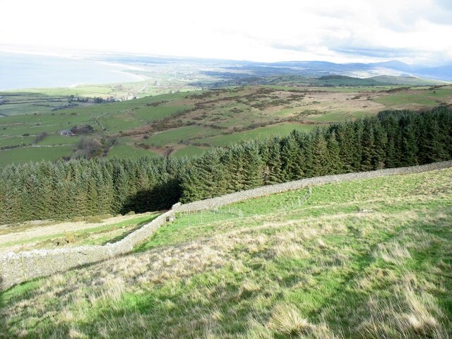 View downslope to the improvised wire-sheepfold