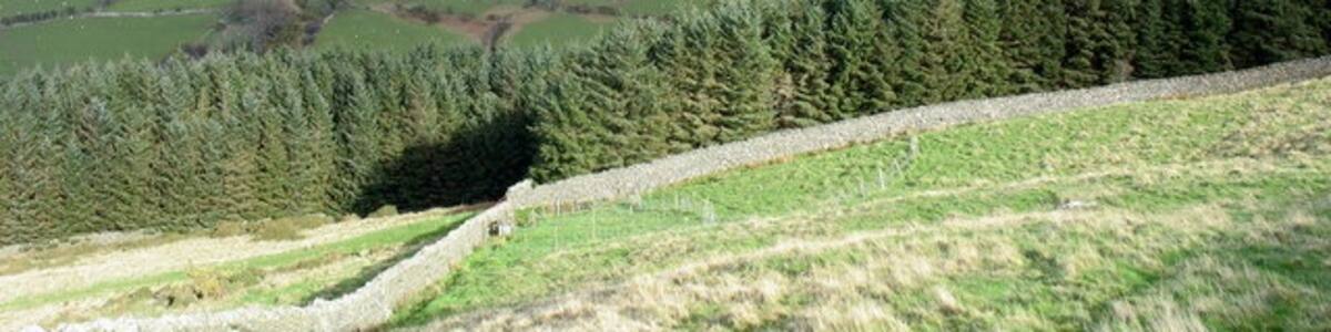 Photo "View downslope to the improvised wire-sheepfold" by Eric Jones (Creative Commons Attribution-Share Alike 2.0) / Cropped from original