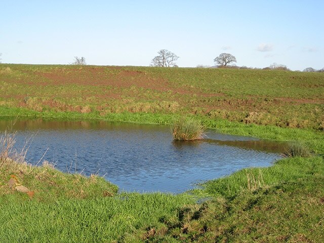 Billede "Upleadon" af Pauline Eccles (CC BY-SA) / beskåret fra det originale billede