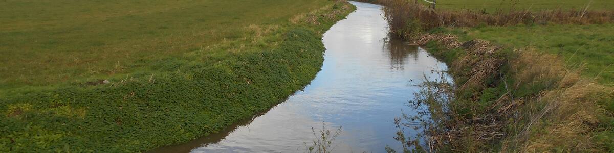 Photo "The River Cary, as it runs through a field just south of Babcary, Somerset." by Simon Burchell (Creative Commons Attribution-Share Alike 4.0) / Cropped from original