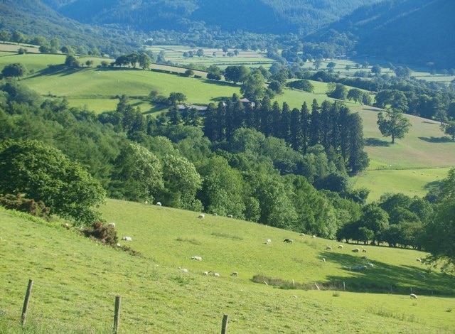 Dyffryn Conwy o Fwlch y Gwynt / Conwy Valley from Bwlch y Gwynt, CTYPE html PUBLIC "-//W3C//DTD XHTML 1.0 Strict//EN" "http://www.w3.org/TR/xhtml1/DTD/xhtml1-strict.dtd">
 <html xmlns="http://www.w3.org/1999/xhtml" xml:lang="en" id="geograph"> <head> <title>Dyffryn Conwy o Fwlch y Gwynt / Conwy Valley from Bwlch y Gwynt:: OS grid SH8160 :: Geograph Britain and Ireland - photograph every grid square!</title> <meta http-equiv="Content-Type" content="text/html; charset=iso-8859-1" /> <meta name="description" content="The rather elegant double row of cedars close to the centre of the image line the driveway to Cyffdy Hall 1802087" /> <meta name="ICBM" content="53.126122351016, -3.7719448626072"/> <meta name="DC.title" content="Geograph:: Dyffryn Conwy o Fwlch y Gwynt / Conwy Valley from Bwlch y Gwynt:: OS grid SH8160"/> <link rel="stylesheet" type="text/css" title="Monitor" href="http://s1.geograph.org.uk/templates/basic/css/basic.v7747.css" media="screen" /> <link rel="shortcut icon" type="image/x-icon" href="http://s1.geograph.org.uk/favicon.ico"/> <link rel="alternate" type="application/vnd.google-earth.kml+xml" href="/photo/1917255.kml"/> <link rel="search" type="application/opensearchdescription+xml" title="Geograph Britain and Ireland search" href="/stuff/osd.xml" /> <script type="text/javascript" src="http://s1.geograph.org.uk/js/geograph.v7635.js"></script> </head> <body> <a title="Geograph home page" href="/">Geograph - photograph every grid square</a> <a title="Grid Reference SH8160 :: 29 images" href="/gridref/SH8160">SH8160</a> : Dyffryn Conwy o Fwlch y Gwynt / Conwy Valley from Bwlch y Gwynt near to Melin-y-Coed, Conwy, Great Britain.