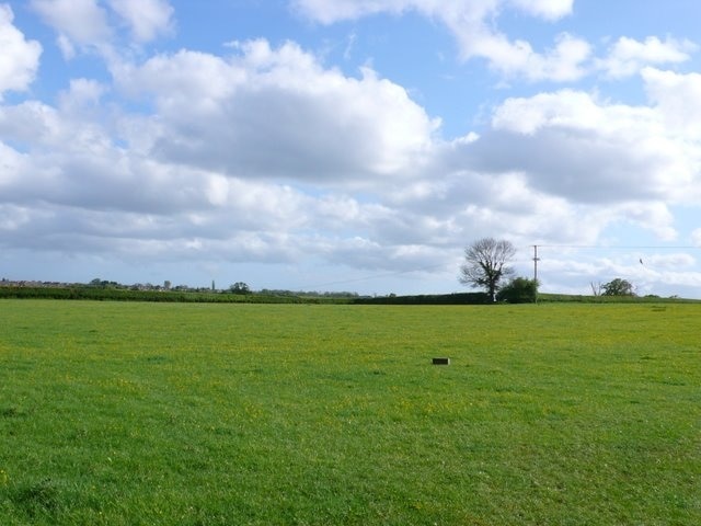 Countryside near Horsington These fields are just of the A357 between Abbas Combe and Horsington.