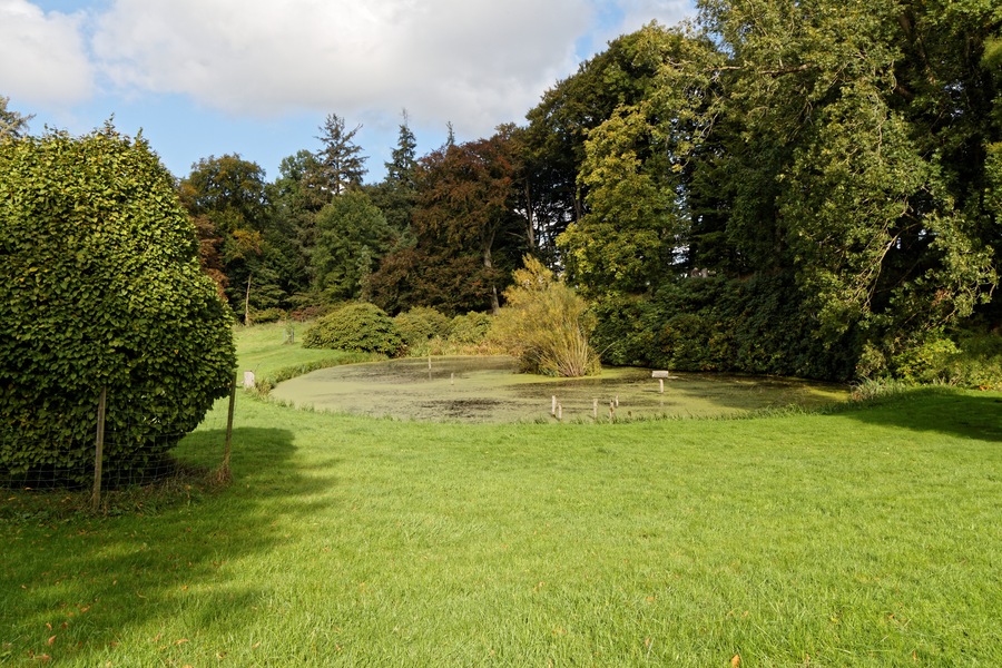 Westensee; Gut Bossee: Teich
