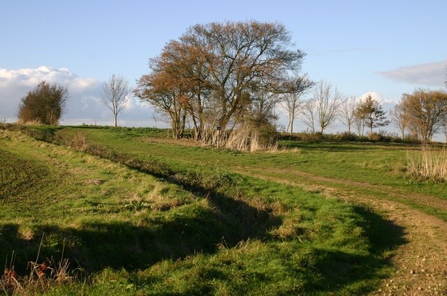 Foto “Somersham” tomada por Shaun Ferguson (CC BY-SA); recorte de la original