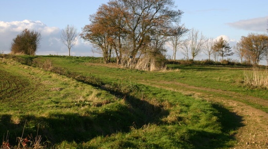 Foto “Somersham” tomada por Shaun Ferguson (CC BY-SA); recorte de la original