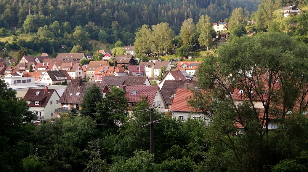 Photo "Calmbach" by qwesy qwesy (CC BY) / Cropped from original