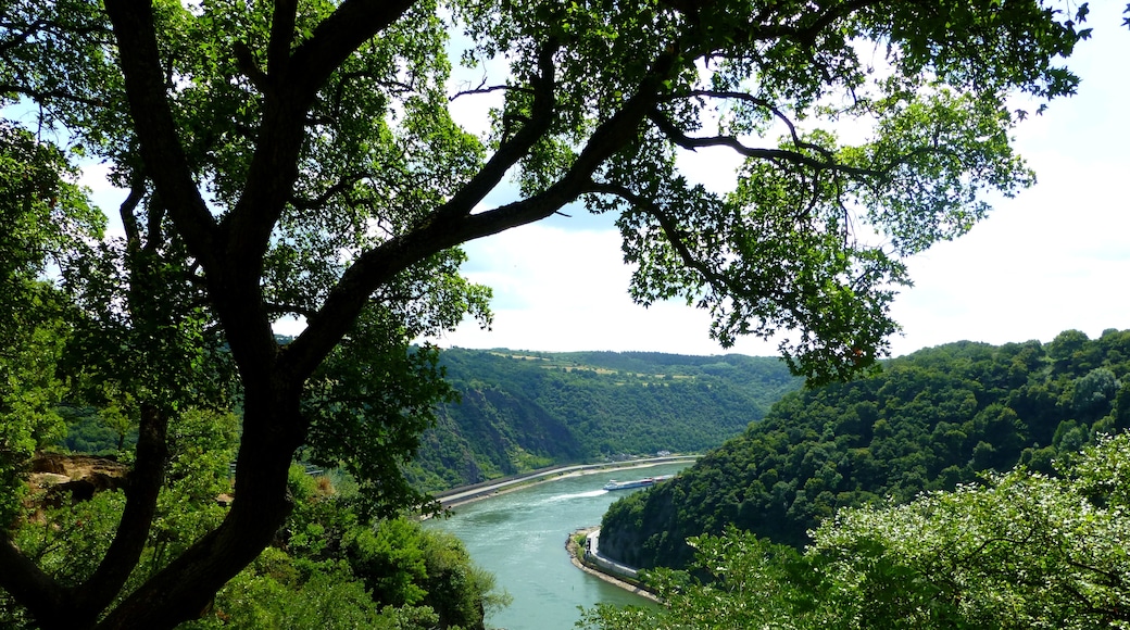 Photo "Loreley" by giggel (CC BY) / Cropped from original