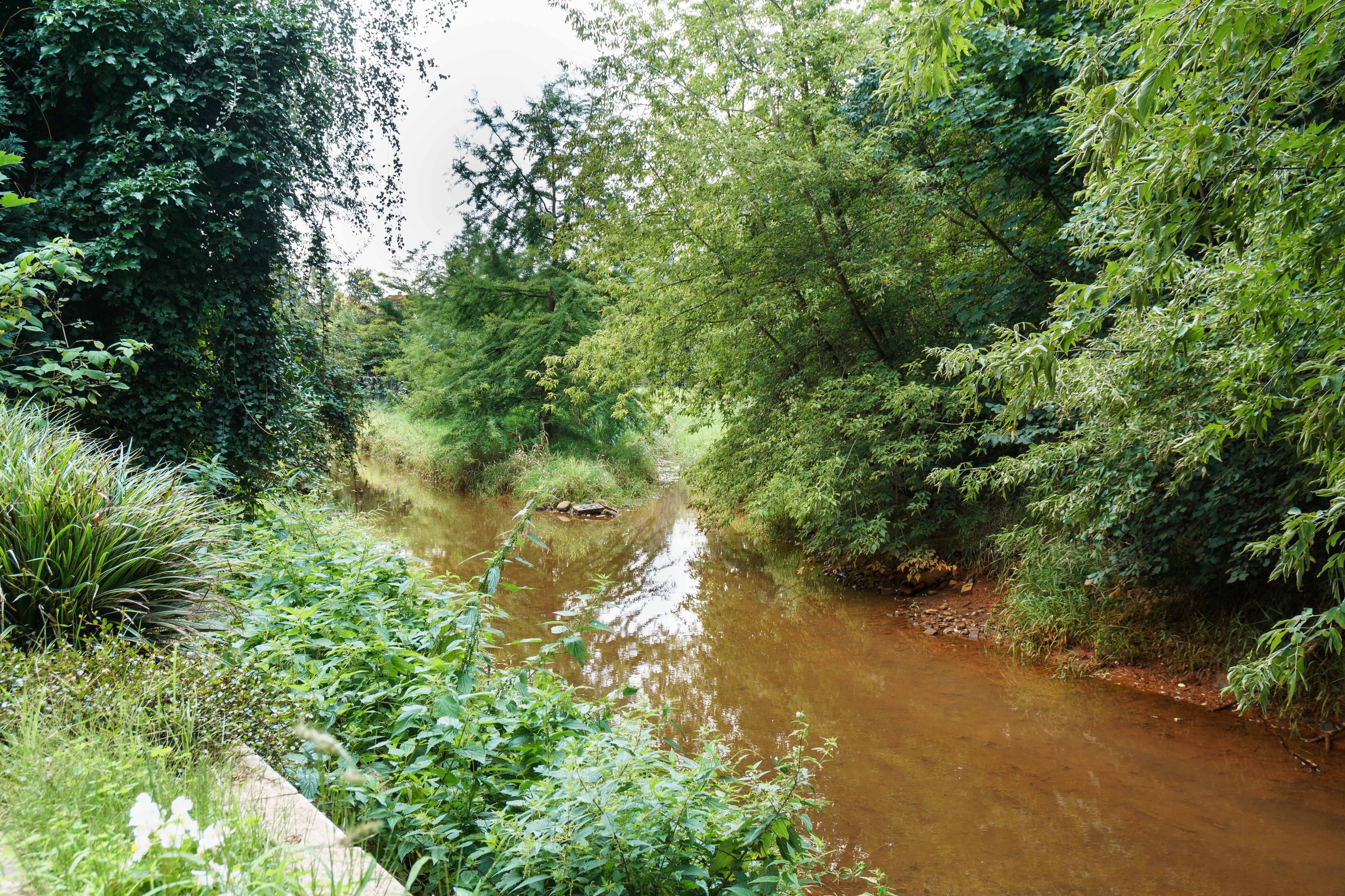 Foto "Borsdorf" por Radler59 (CC BY-SA) / Recortada de la original