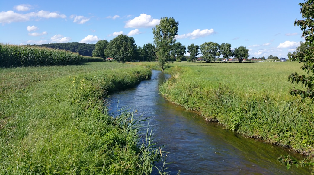 Unterallgäu