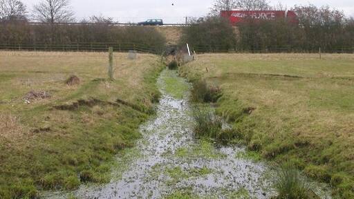 Foto “Lilbourne” tomada por Ian Rob (CC BY-SA); recorte de la original