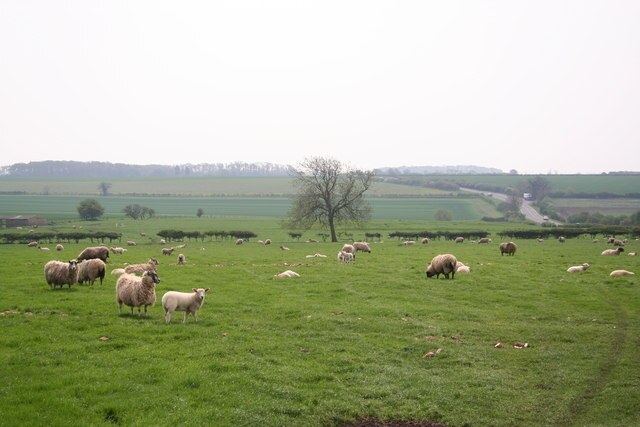 Billede "Cranwell" af Richard Croft (CC BY-SA) / beskåret fra det originale billede