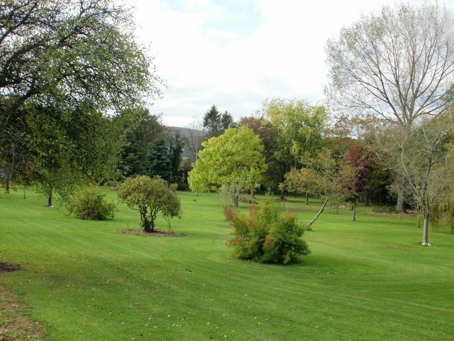 Gwent Crematorium grounds Trees in the grounds of Gwent Crematorium.