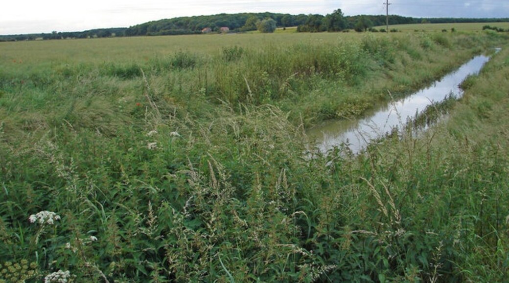 Billede "Barlings" af Ian Paterson (CC BY-SA) / beskåret fra det originale billede