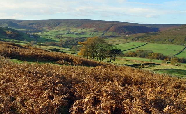 Westerdale valley Descending into the valley with winter sunshine on a clear day, one gets the clear distinction between the fertile valley and the wild open moors. This view is southwest from the minor road that leads up to the Castleton - Hutton-le-Hole road, (which is still only a minor road).