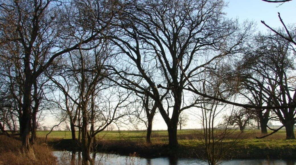 Photo "Threekingham" by Ian Paterson (CC BY-SA) / Cropped from original