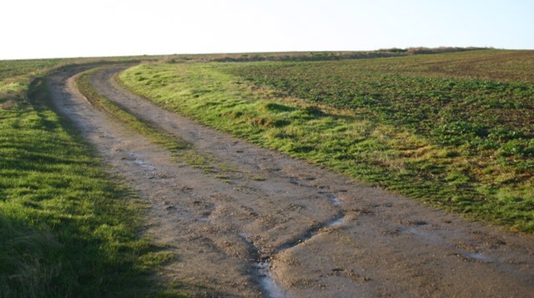 Foto “Somersham” tomada por Shaun Ferguson (CC BY-SA); recorte de la original