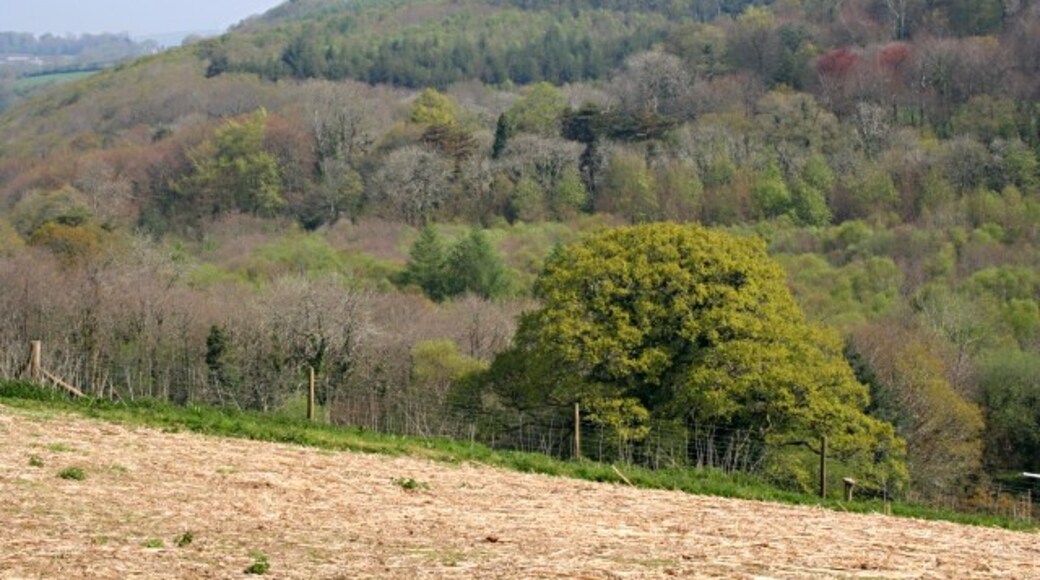 Foto "St. Ive" de Tony Atkin (CC BY-SA) / Recortada do original