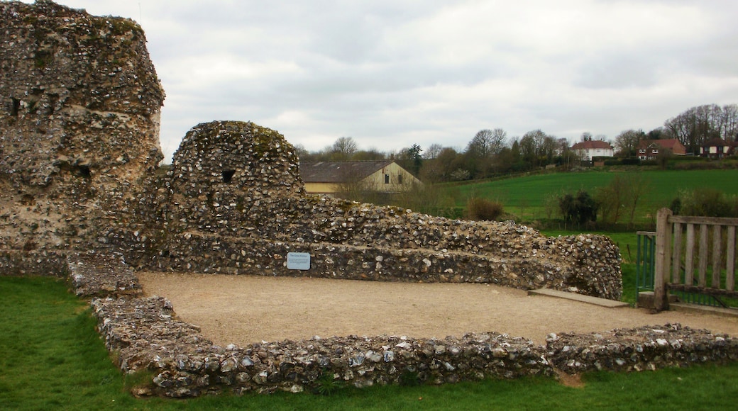 Photo "Eynsford Castle" by Ethan Doyle White (CC BY-SA) / Cropped from original