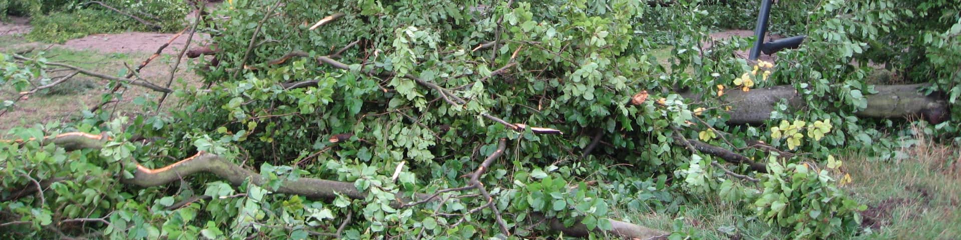Tornadoschaden des Spielplatzes am Vogelpark in Hambrücken