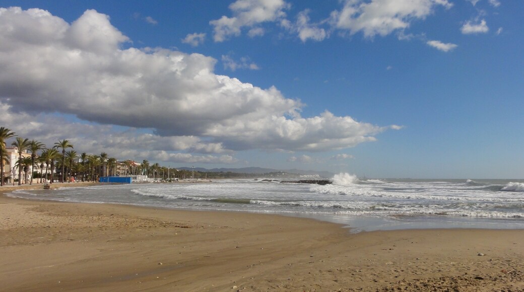 Foto ‘Llarga Beach’ van Isidro Jabato (page does not exist) (CC BY-SA) / bijgesneden versie van origineel