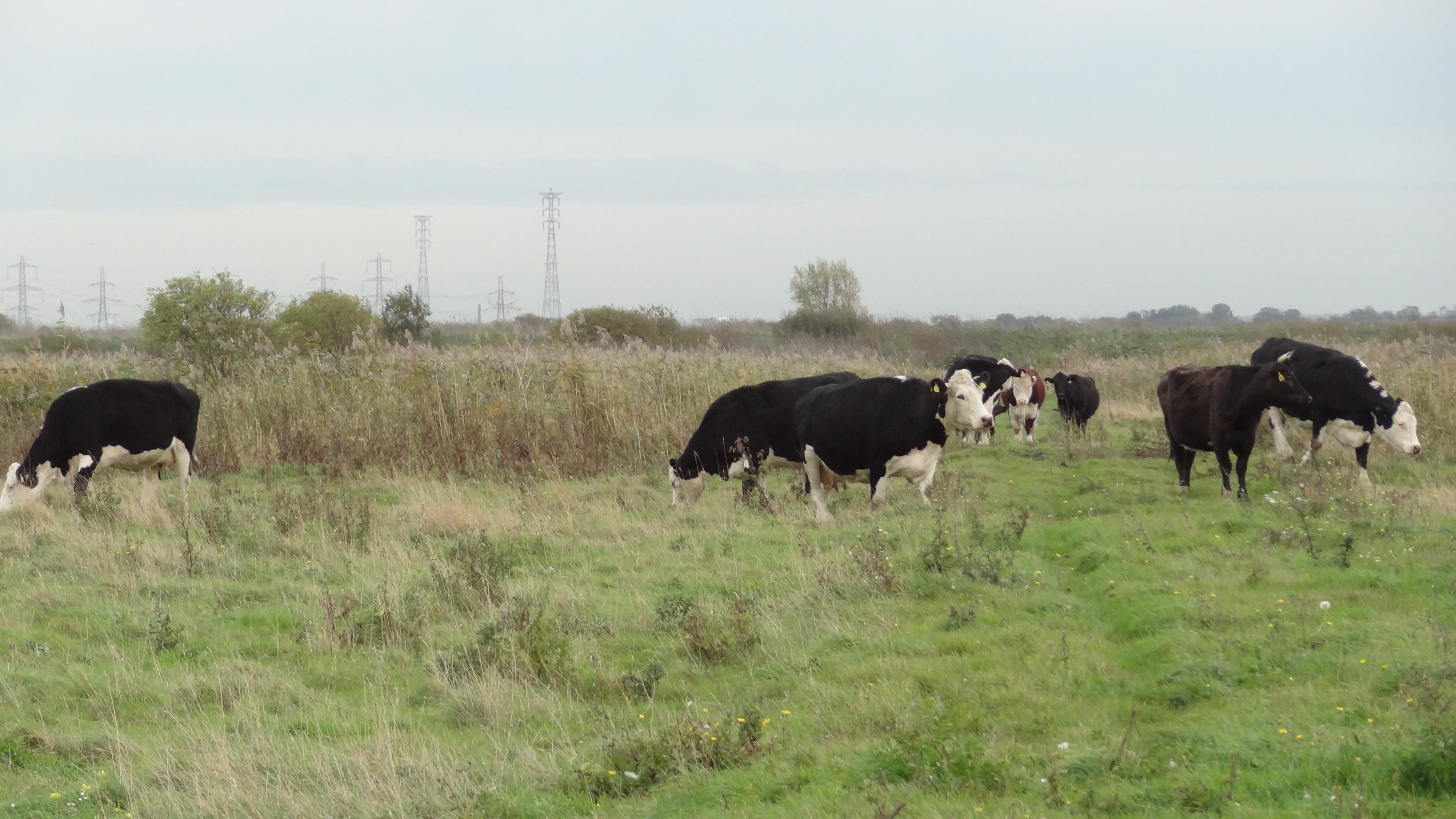 Photo "<h2>Top places to stay in Rainham with breakfast</h2>" by Dudley Miles (CC BY-SA) / Cropped from original
