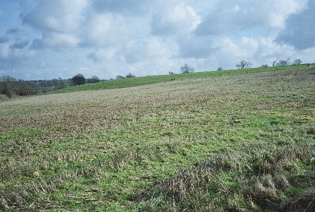 Fields Behind the Book Barn Looking Towards Hallatrow.