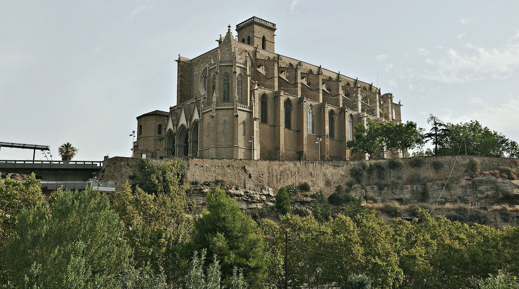 Collegiate Basilica of Santa Maria, Manresa, Catalonia, Spain