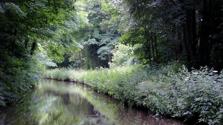 Photo "Trent and Mersey Canal near Armitage, Staffordshire. Flanked and heavily shaded by tall mature deciduous trees, the canal makes its way between the grounds of the Church of St John the Baptist on the left, and the railway on the right." by Roger Kidd (Creative Commons Attribution-Share Alike 2.0) / Cropped from original