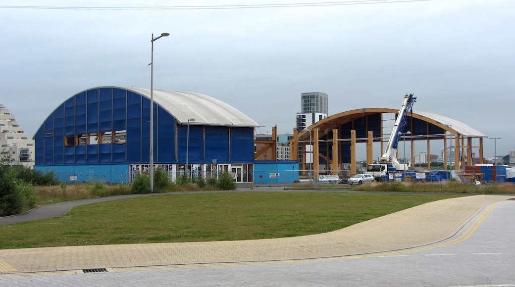 Foto „Cardiff International Sports Village“ von Gareth James (CC BY-SA)/zugeschnittenes Original