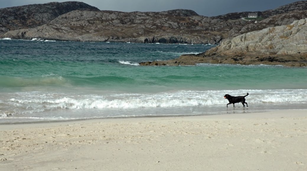 Photo "Achmelvich Beach" by Peter Gamble (CC BY-SA) / Cropped from original