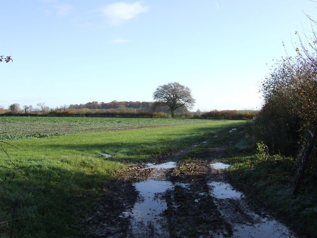 Photo "Long Newnton" by Graham Burnett (CC BY-SA) / Cropped from original