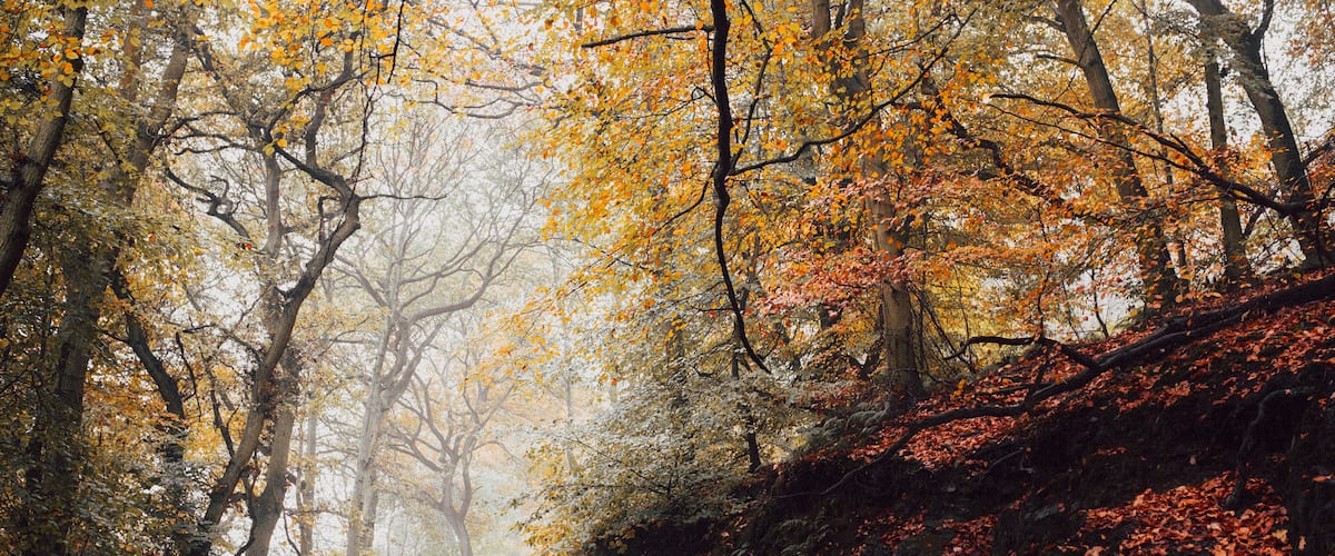 The Wrekin, Telford, United Kingdom
