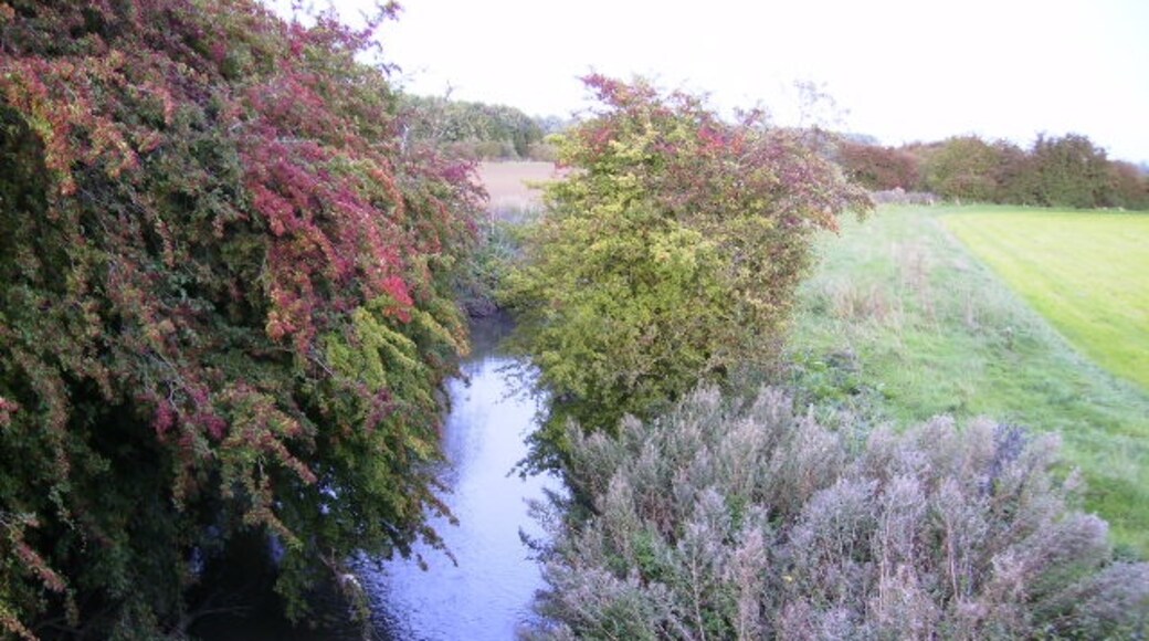 Photo "South Holme" by Phil Catterall (CC BY-SA) / Cropped from original