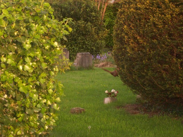 Photo "Longden" by Tom McCallister (CC BY-SA) / Cropped from original