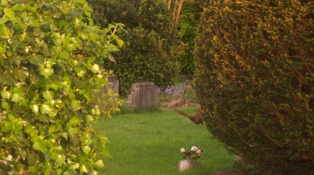 Photo "Longden" by Tom McCallister (CC BY-SA) / Cropped from original